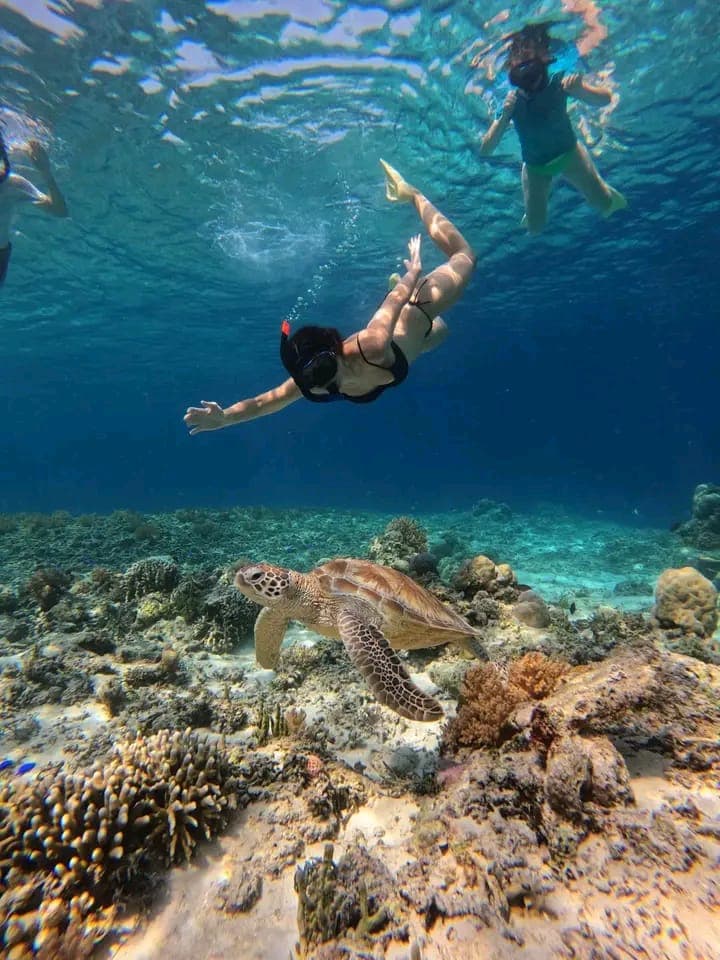 Snorkeling Gili Trawangan