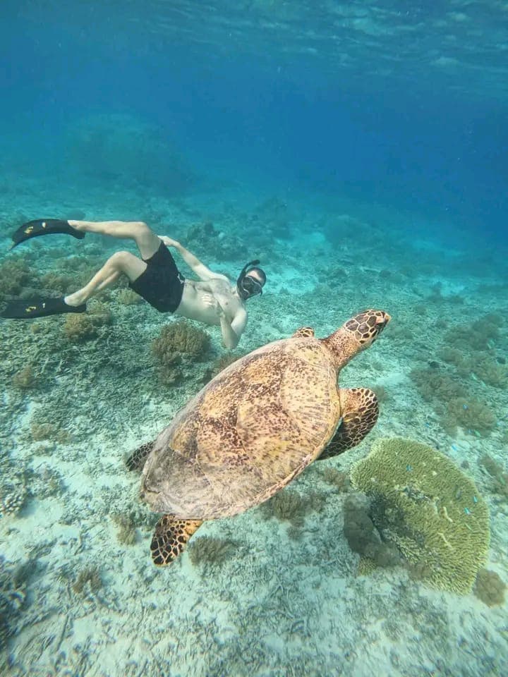 Snorkeling Gili Trawangan
